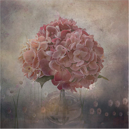 Pretty in Pink - John Mottola - AWARD OF EXCELLENCE