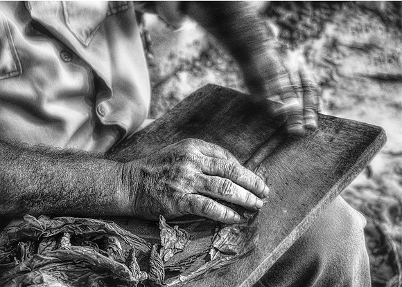 Hand Rolling a Cigar - Martin Schwartz