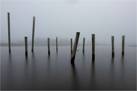 Lone Observer - Skip WIlliams