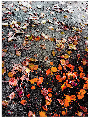 Early Winter
