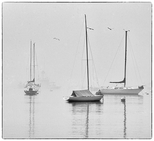 Harbor Fog