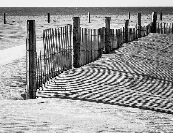 Shadows on the Beach