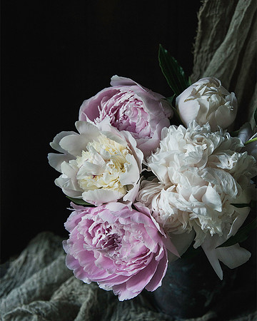 Peonies