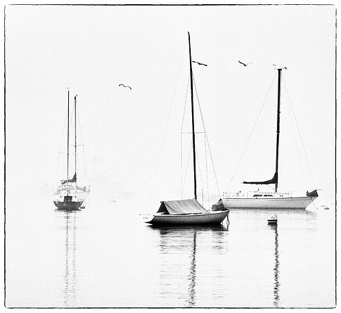Harbor Fog