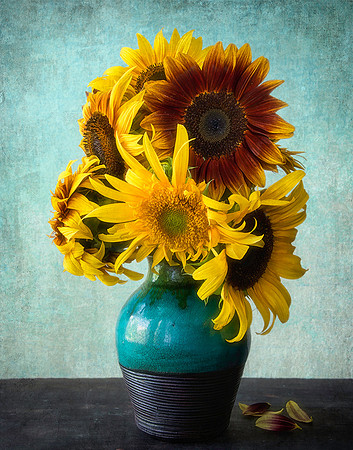 Sunflowers on Blue