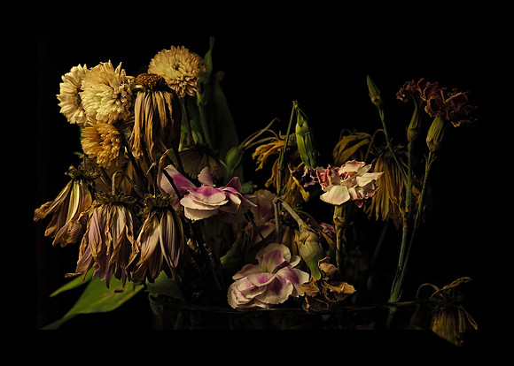 Still Life With Flowers