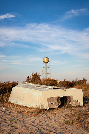 Seashore Still Life
