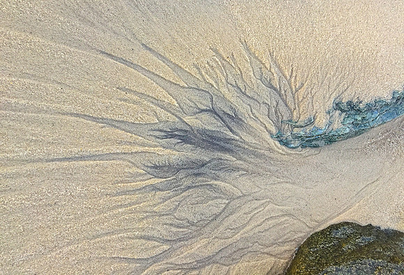Natural Abstract