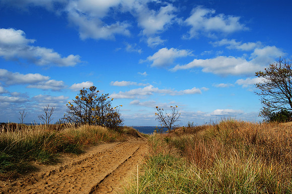 Sandy Path