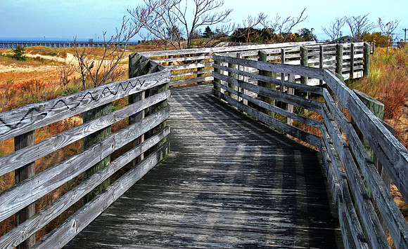 Wooden Walkway