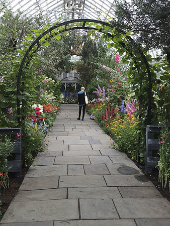 In the Garden