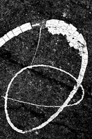 A Tribute to Aaron Siskind (2)
