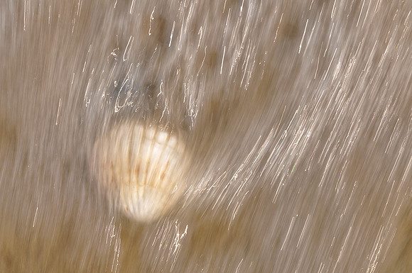 Sea Surge
