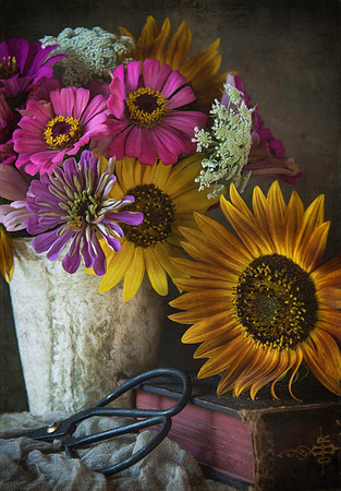Summer Blooms