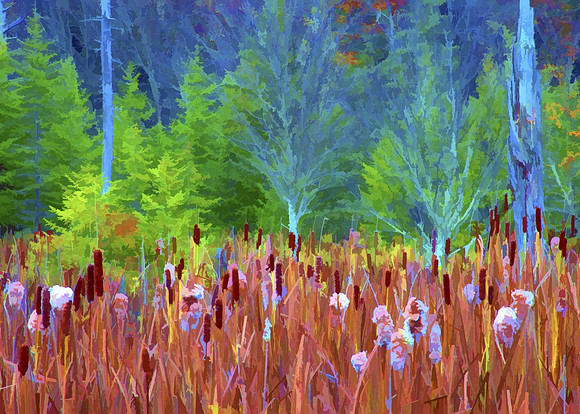 Wetlands
