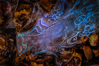 Electric Blue Paw