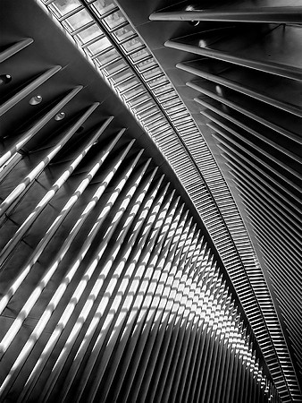 Oculus Spine