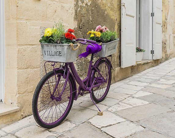 Purple Bicycle