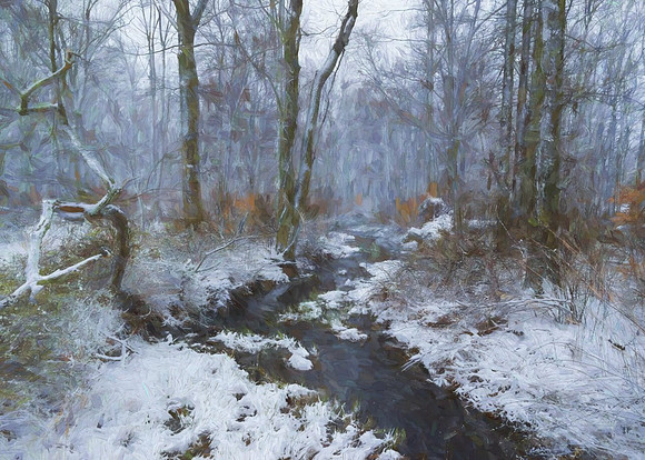 Creek on a Snowy Day