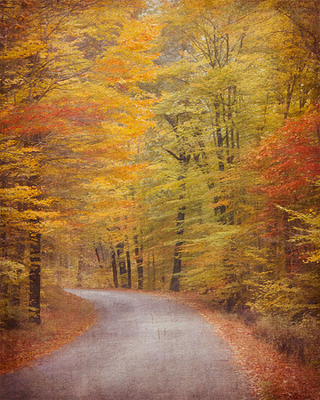 Autumn Road