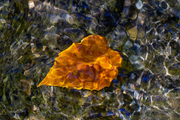 River Jewel
