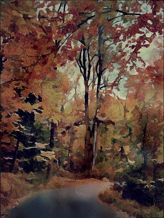 Autumn Trees