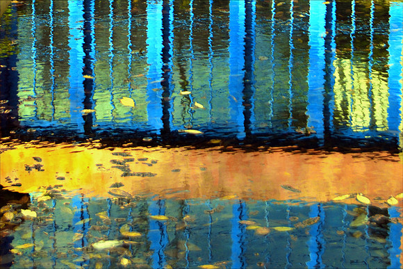 Afternoon Blues