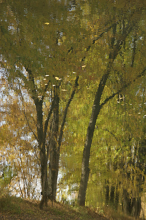 Fall Musings