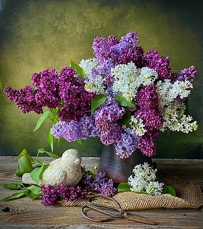 Lilacs II