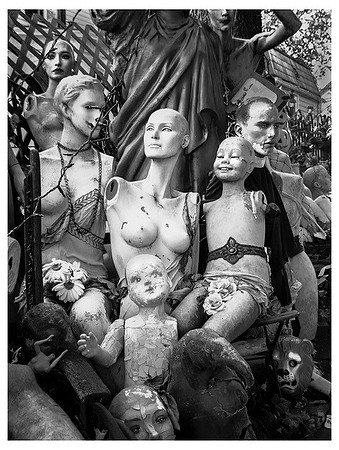 Carnival Of Fools