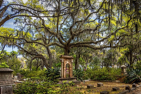 Resting Place