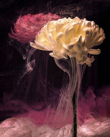 From the Series Submerged: My Pride and Silence