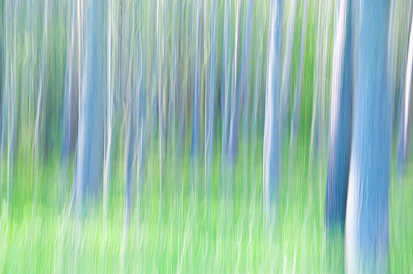 Abstract Trees