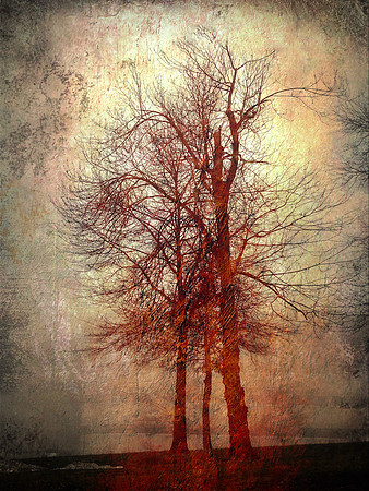 Magical and Mysterious