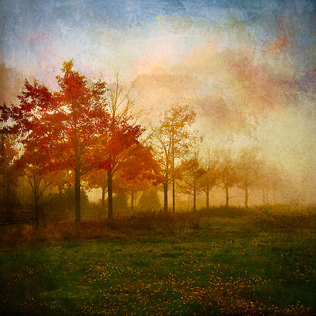 Painterly Morning