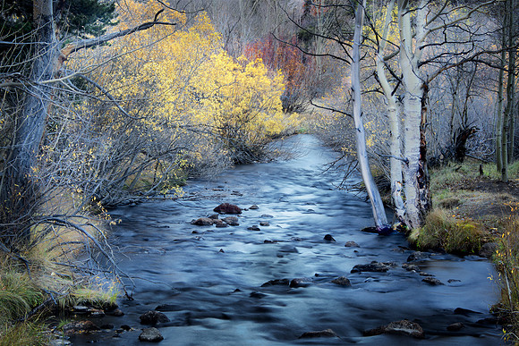 Blue River