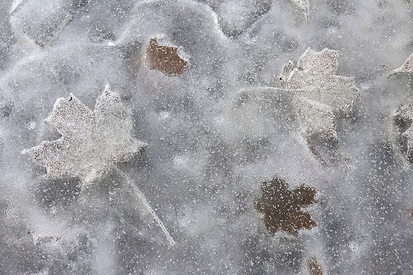 Fall in Ice