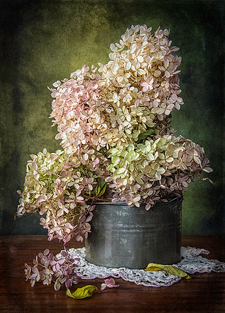Dried Florals